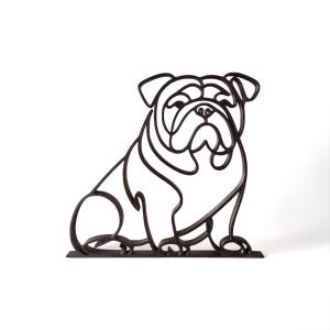 English Bulldog photo 4