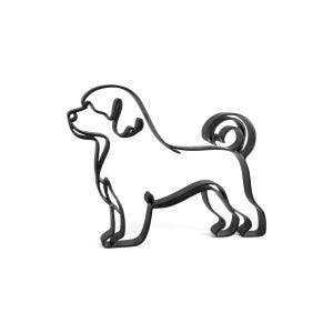 Portuguese Water Dog photo 4