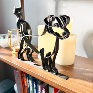 Jack Russell Terrier photo 2