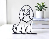Mini Cocker Spaniel photo 8