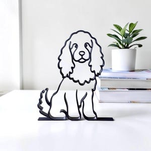 Mini Cocker Spaniel photo 8