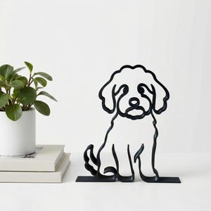 Mini Goldendoodle photo 6