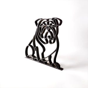 English Bulldog photo 5