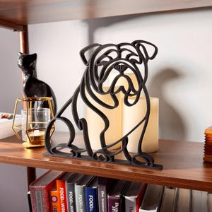 English Bulldog photo 3
