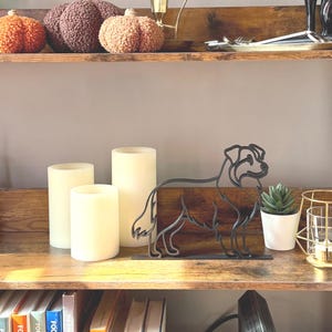 Australian Shepherd photo 4