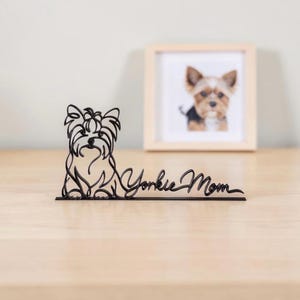Yorkie Mom photo 7