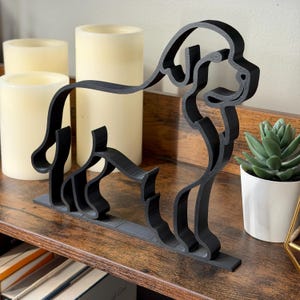 Newfoundland photo 2