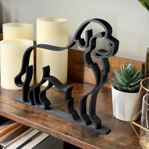 Newfoundland photo 3