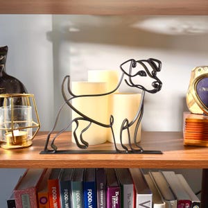 Jack Russell Terrier photo 1