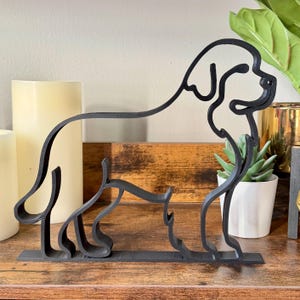 Newfoundland photo 1