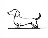 Dachshund photo 8