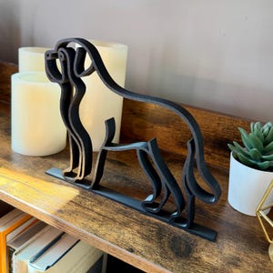 Saint Bernard photo 2