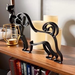 Portuguese Water Dog photo 2