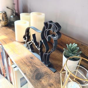 Australian Shepherd photo 5