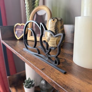 Sleeping Cat photo 4