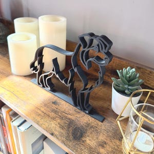 Australian Shepherd photo 3