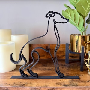 Italian Greyhound photo 1