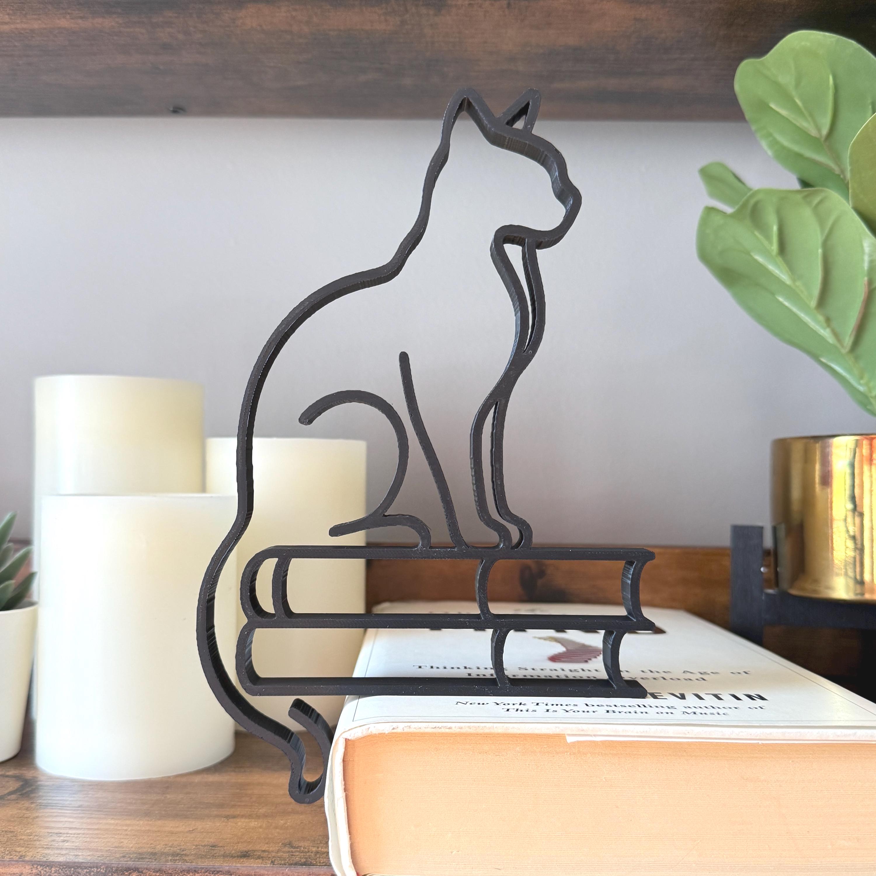 Cat on Books Minimalist Line Art Sculpture