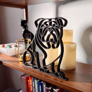 English Bulldog photo 1