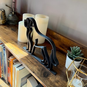 Saint Bernard photo 3