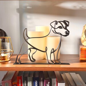 Jack Russell Terrier photo 3