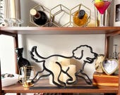 Large Running Goldendoodle photo 7