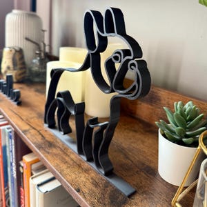 French Bulldog photo 4