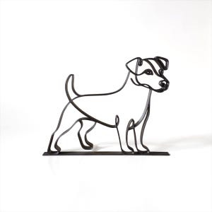 Jack Russell Terrier photo 5