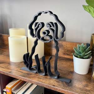 Mini Goldendoodle photo 2