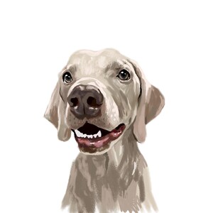 Custom Pet Portrait, Hand Drawn Pet Portrait, Personalized Pet Gift, Dog Portraits from Photos, Pet Painting