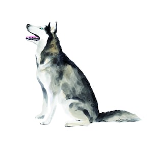 Hand-Drawn Custom Pet Portrait: Personalized Pet Memorial Art