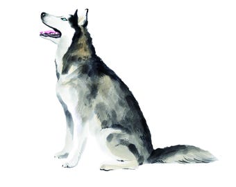 Hand-Drawn Custom Pet Portrait: Personalized Pet Memorial Art