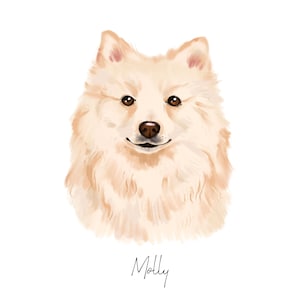 Custom Pet Portrait, Handpainted, Dog Portraits from Photos, Dog Portraits From Photos, Pet Painting