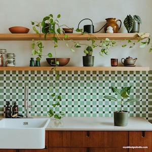 May include: A kitchen with green and white checkered tile backsplash, wooden shelves, and plants. The shelves are filled with various items, including a watering can, a teapot, and a bowl. There is a sink and a countertop below the shelves.