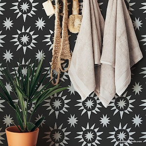 May include: A black and white geometric starburst pattern wallpaper with a green plant in a terracotta pot and two towels hanging on a hook.