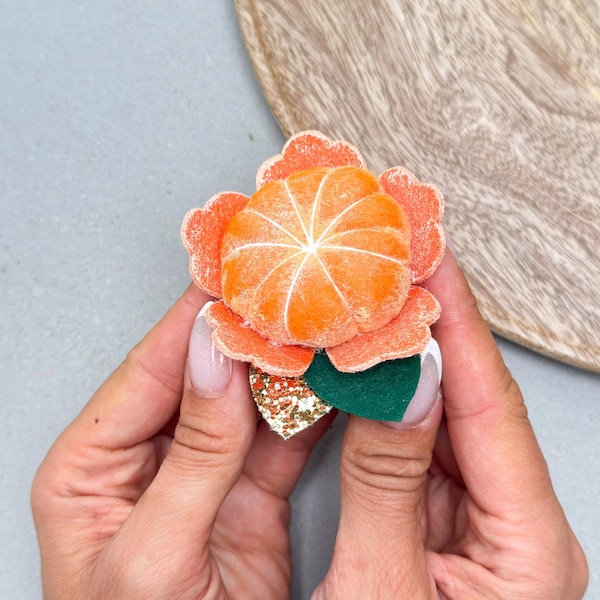 Ready to ship, Handmade Mandarin Felt Hair Clip, Fruit Hair Accessory for Girls, Orange Tangerine Alligator Clip, Little Girl Birthday Gift