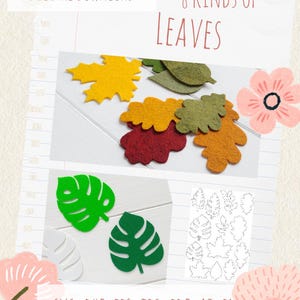 Può includere: Un download digitale con foglie di feltro in vari colori, tra cui giallo, verde e rosso. Il testo "8 KINDS OF LEAVES" è visualizzato sopra le foglie. L'immagine include anche un disegno a tratto di forme di foglie.