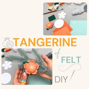 Könnte beinhalten: Ein DIY-Bastelset zur Herstellung einer Mandarine aus Filz, bestehend aus orangefarbenen und grünen Filzbögen, weißen Papiervorlagen, einem Pinsel, weißer Farbe, Garn und einer Nadel. Der Text lautet TANGERINE of FELT DIY mit einer Fruchtzeichnung.