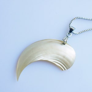 One of a Kind Vintage Antique Crescent Shell Recycled Beach Necklace on Silver Chain image 1