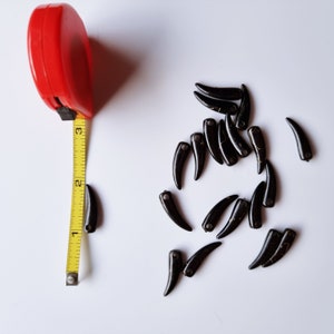 20 pc Black and Gold Horn Shaped Bead Finding Charm Jewelry Making Crafting Supplies Wholesale image 7