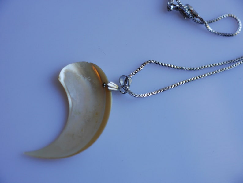 One of a Kind Vintage Antique Crescent Shell Recycled Beach Necklace on Silver Chain image 3