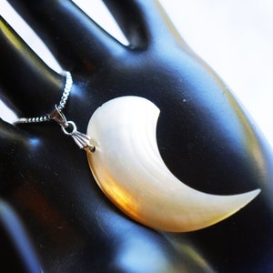 One of a Kind Vintage Antique Crescent Shell Recycled Beach Necklace on Silver Chain image 7