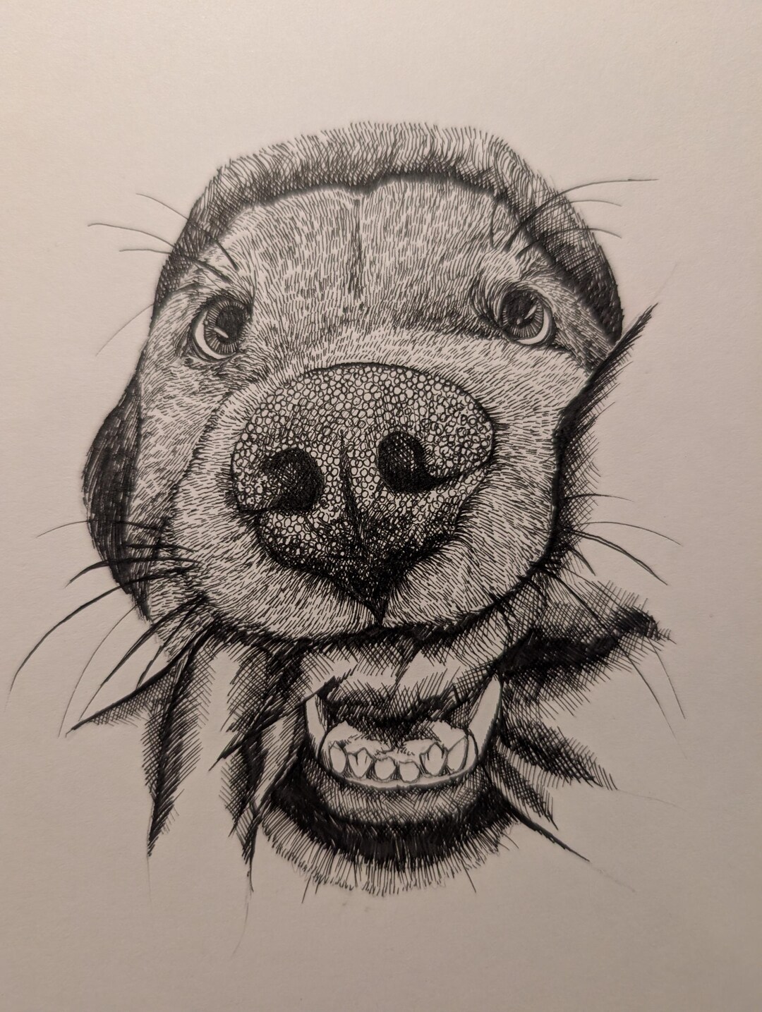 Custom Ink Pet Portrait - Hand Drawn Pet Illustration - Etsy