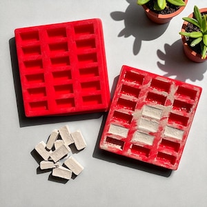 Puede incluir: Dos moldes de silicona rojos, cada uno con compartimentos rectangulares, están sobre una superficie gris. Un molde está lleno de pequeños objetos rectangulares blanquecinos. Un montón de los mismos objetos está junto a los moldes. La imagen también incluye dos pequeñas plantas en maceta.