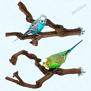 Peut inclure: Deux perchoirs naturels en bois pour oiseaux avec fixations métalliques. Une perruche turquoise et noire se perche sur la branche supérieure, tandis qu'une perruche verte et jaune se perche sur la branche inférieure. Les perchoirs sont montés sur un fond bleu clair.