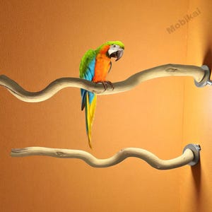 May include: A vibrant parrot sits on a natural wooden bird perch. The perch is fixed to a wall, with a second perch beneath. The parrot displays green, blue, orange, and yellow plumage. The backdrop is a warm, neutral tone.
