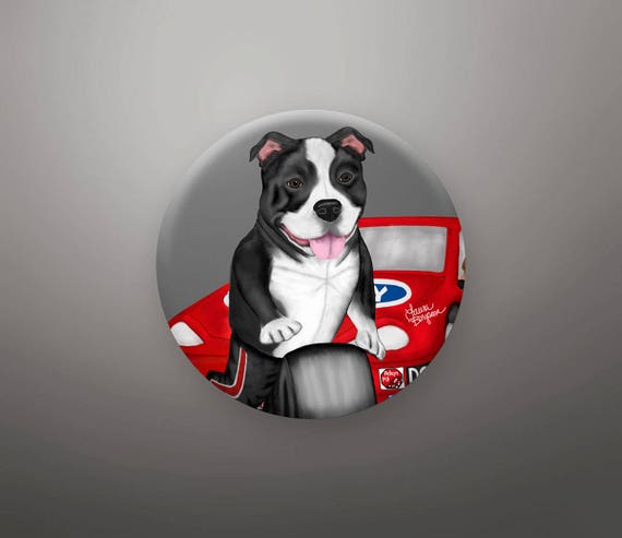 Lustige Bilder Hund Im Kühlschrank