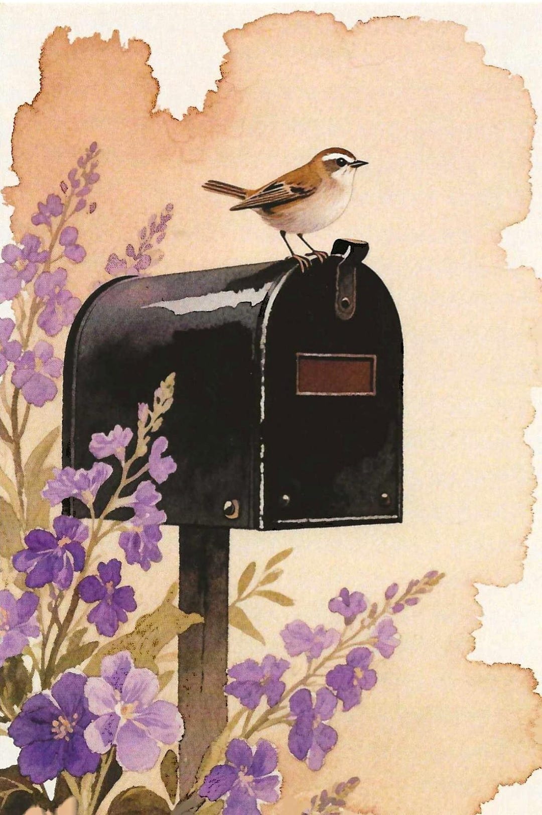 Floral Mailbox Postcard - Bird Snail Mail Postcrossing - Etsy
