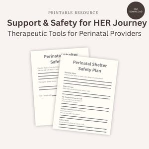 Perinatal Shelter Safety Plan