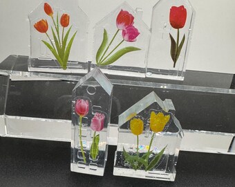 Pequeñas casas de tulipanes de primavera para exhibir flores de temporada, decoración de ventanas pequeñas: ¡juego de 5!